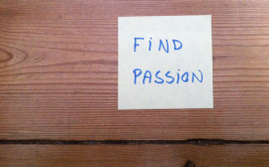 finde sin passion
