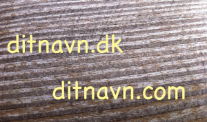 eget domænenavn